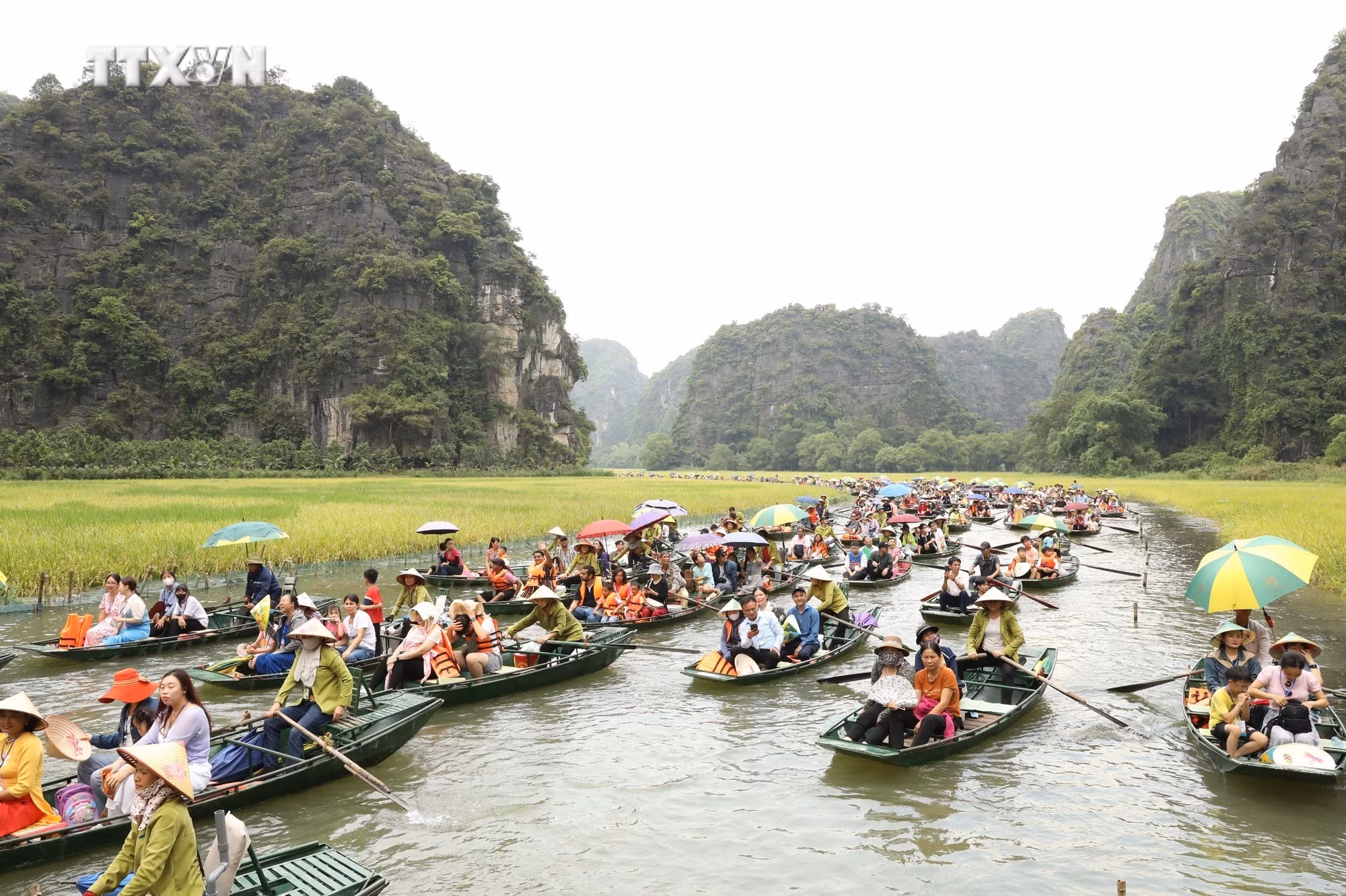 vna_potal_chuong_trinh_trai_nghiem_canh_dong_lua_tam_coc_gan_voi_cac_nghi_le_nong_nghiep_7407521.jpg
