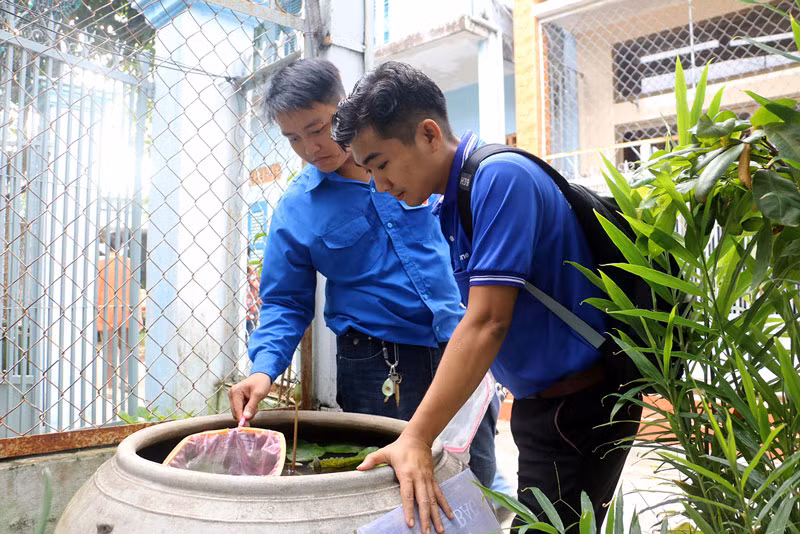Bệnh sốt xuất huyết tăng mạnh tại Bến Tre