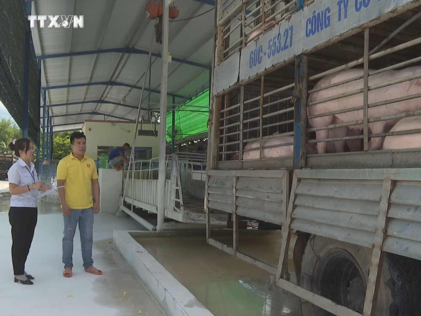 vna_potal_tram_trung_chuyen_heo_thit_tai_binh_phuoc_dam_bao_an_toan_dich_benh_7454833.jpg