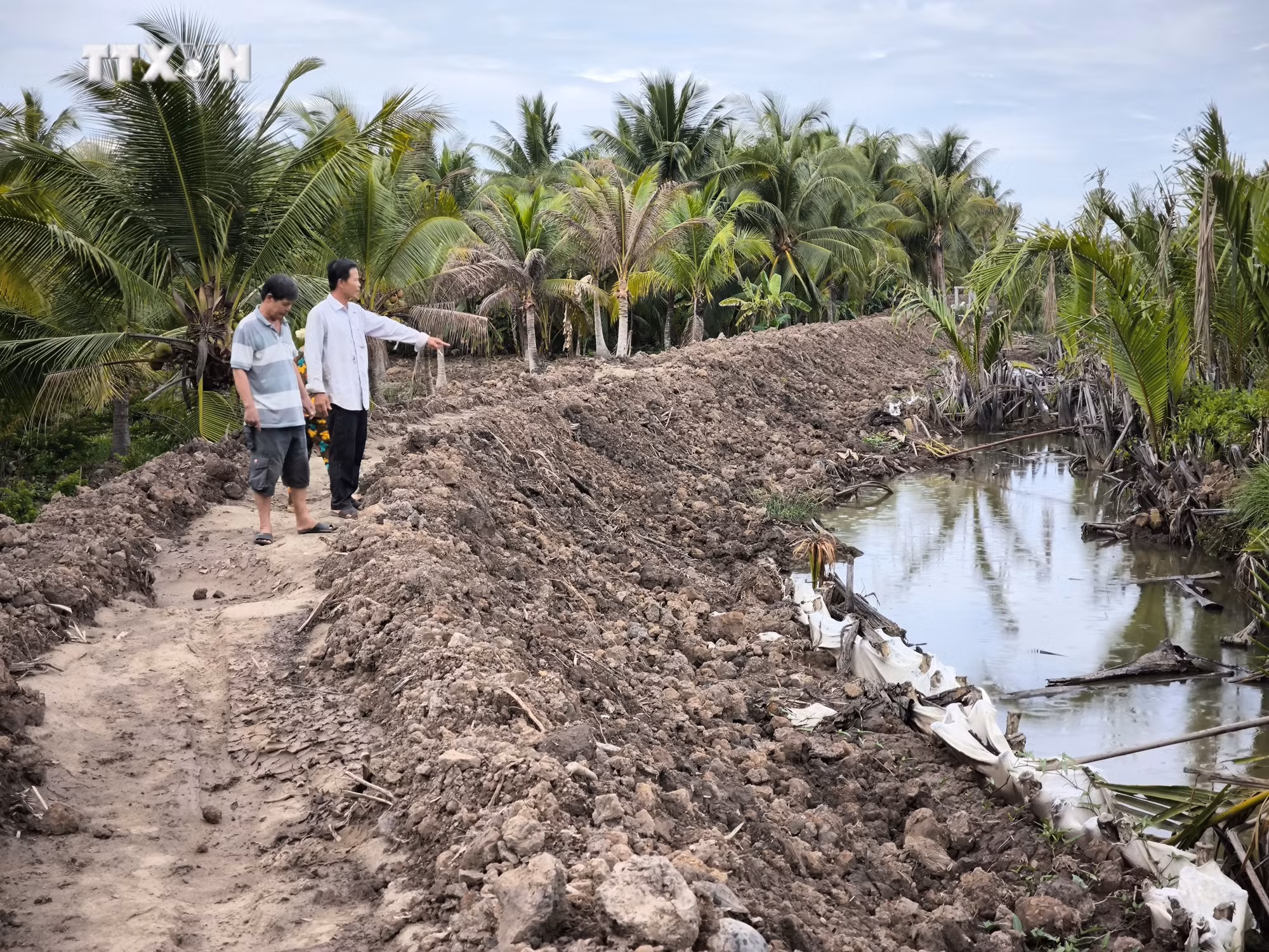 vna_potal_can_dam_bao_quyen_loi_nguoi_dan_khi_xay_dung_bo_bao_chong_ngap_tai_ben_tre_7464715.jpg