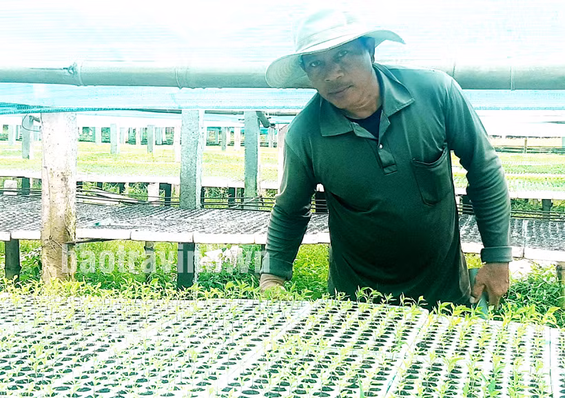Nhân rộng các mô hình sản xuất nông sản an toàn