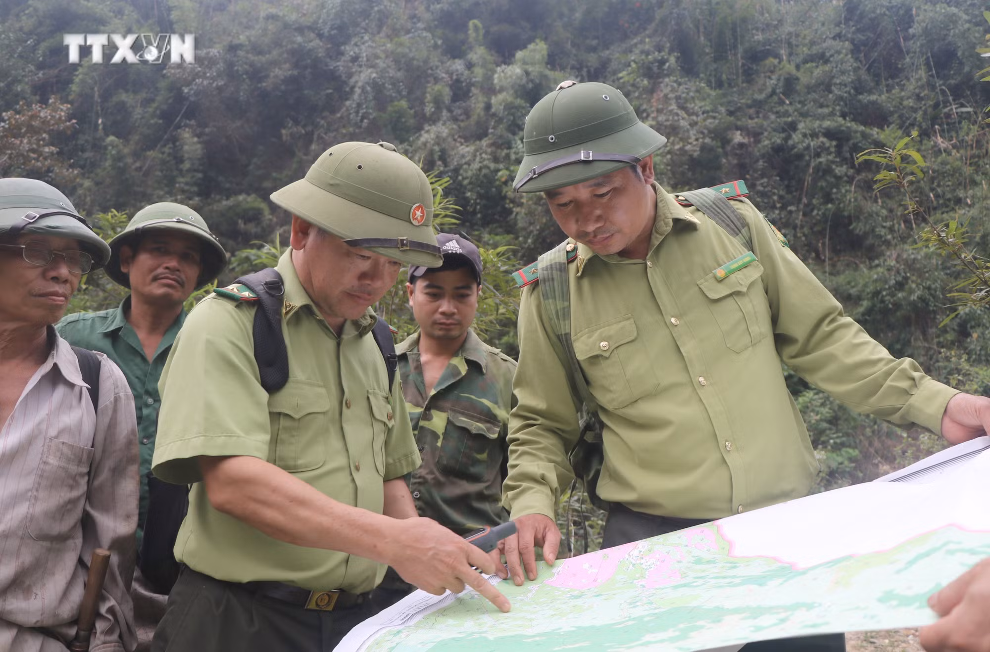vna_potal_bao_ve_rung_tang_cuong_cong_tac_quan_ly_bao_ve_khu_bao_ton_thien_nhien_pu_huong_nghe_an_7313465.jpg