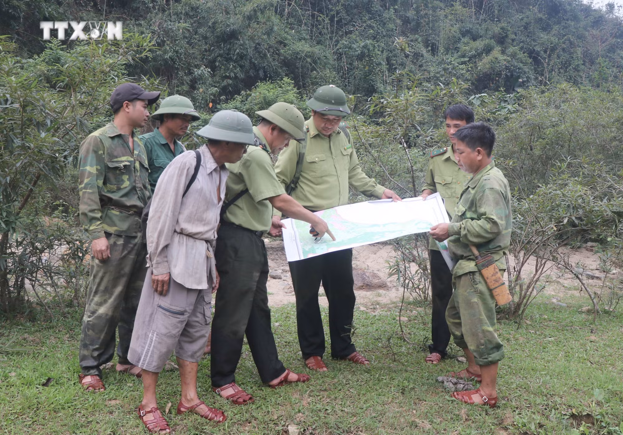 vna_potal_tang_cuong_cong_tac_quan_ly_bao_ve_khu_bao_ton_thien_nhien_pu_huong_nghe_an_7313483.jpg