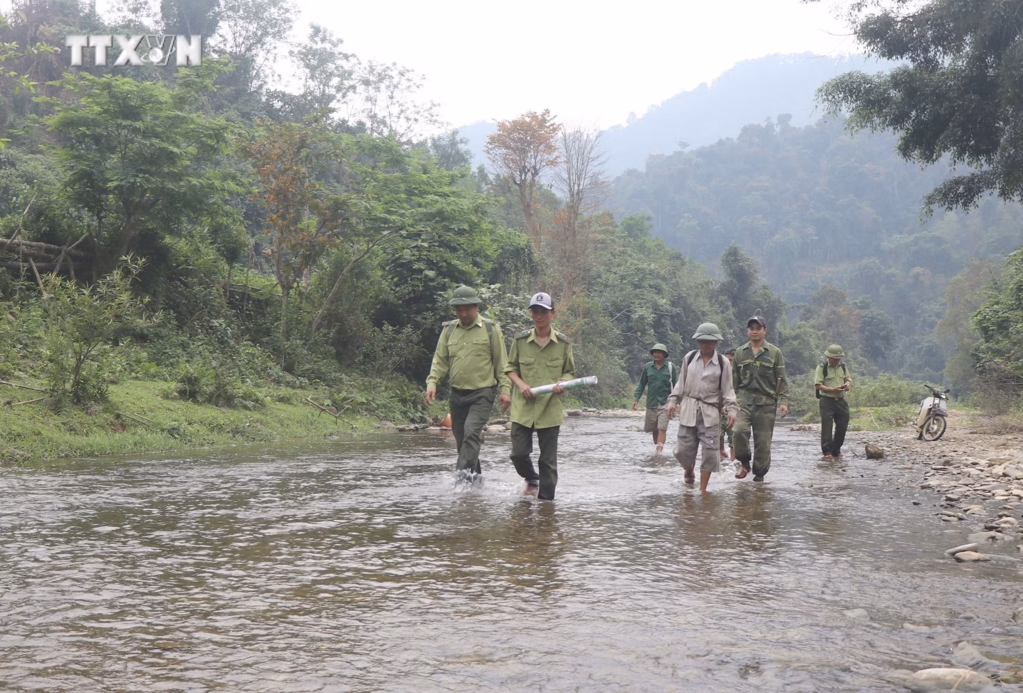 vna_potal_tang_cuong_cong_tac_quan_ly_bao_ve_khu_bao_ton_thien_nhien_pu_huong_nghe_an_7313485.jpg