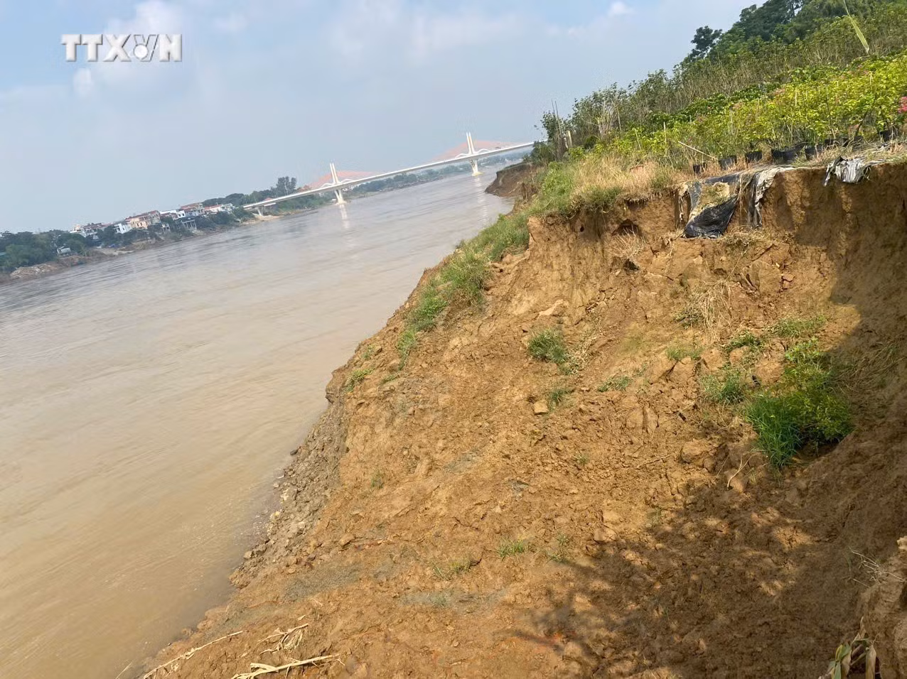 vna_potal_bo_song_lo_qua_tinh_vinh_phuc_sat_lo_nghiem_trong_7562249.jpg
