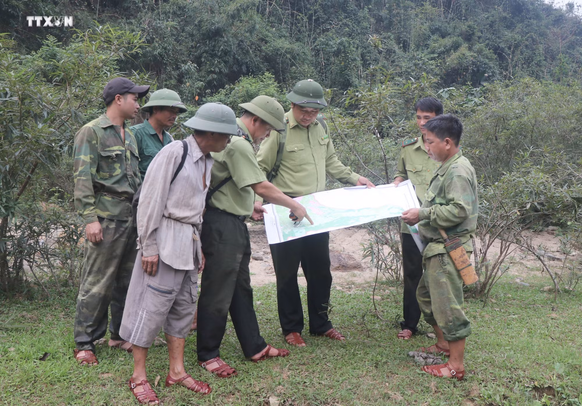 vna_potal_tang_cuong_cong_tac_quan_ly_bao_ve_khu_bao_ton_thien_nhien_pu_huong_nghe_an_7313483.jpg
