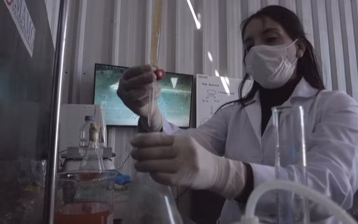 Vi khuẩn "ăn kim loại" - Phát hiện mới giúp "xanh hóa" ngành khai khoáng 