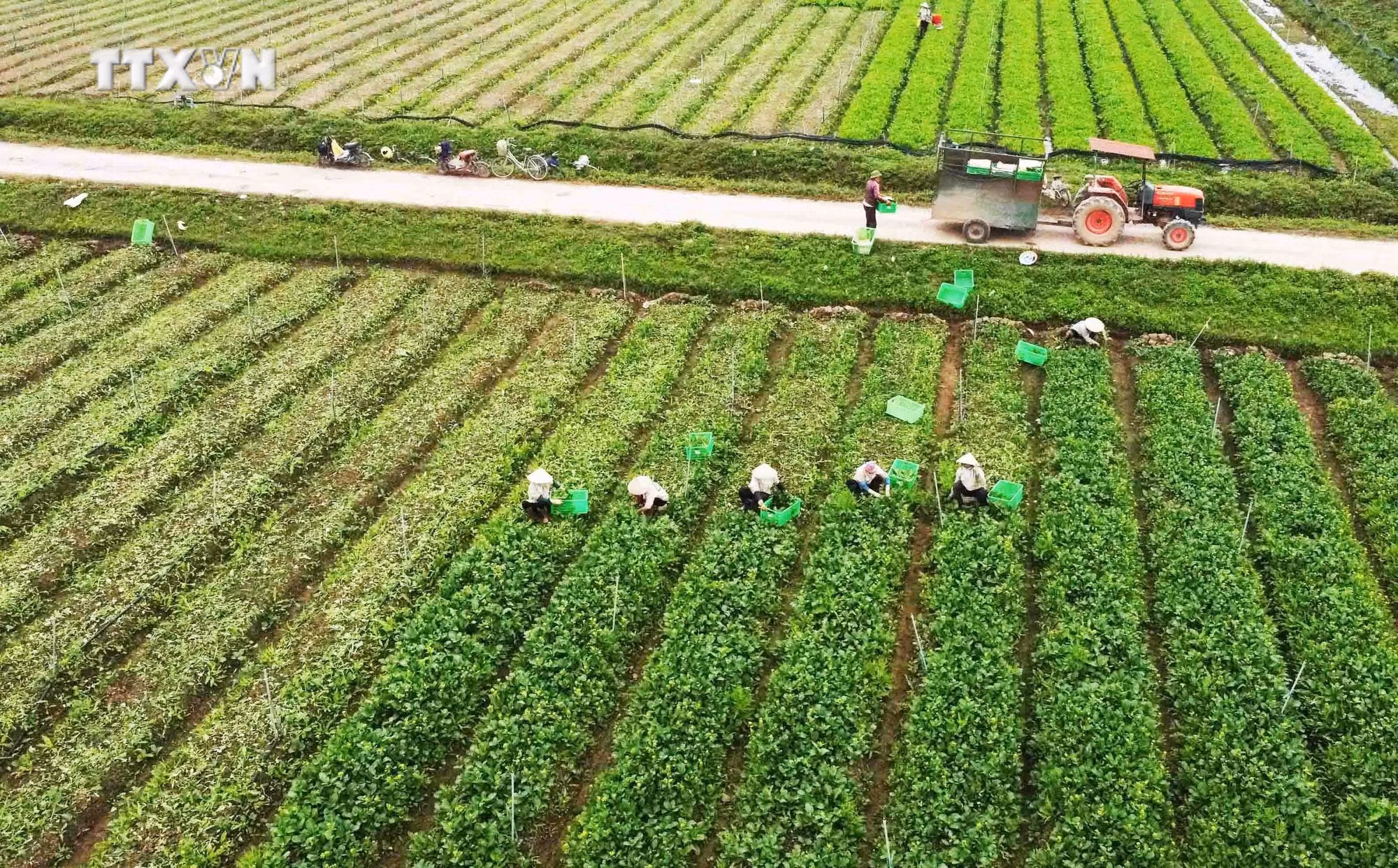 Những chính sách nổi bật có hiệu lực trong tháng 3/2024