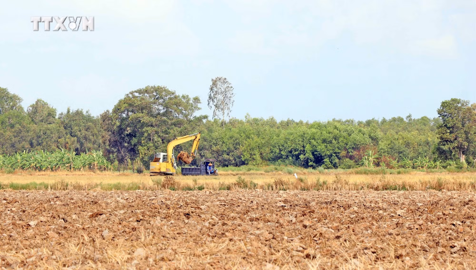vna_potal_ca_mau_trien_khai_cac_giai_phap_nham_giam_thieu_rui_ro_cho_san_xuat_nong_nghiep_7427024.jpg