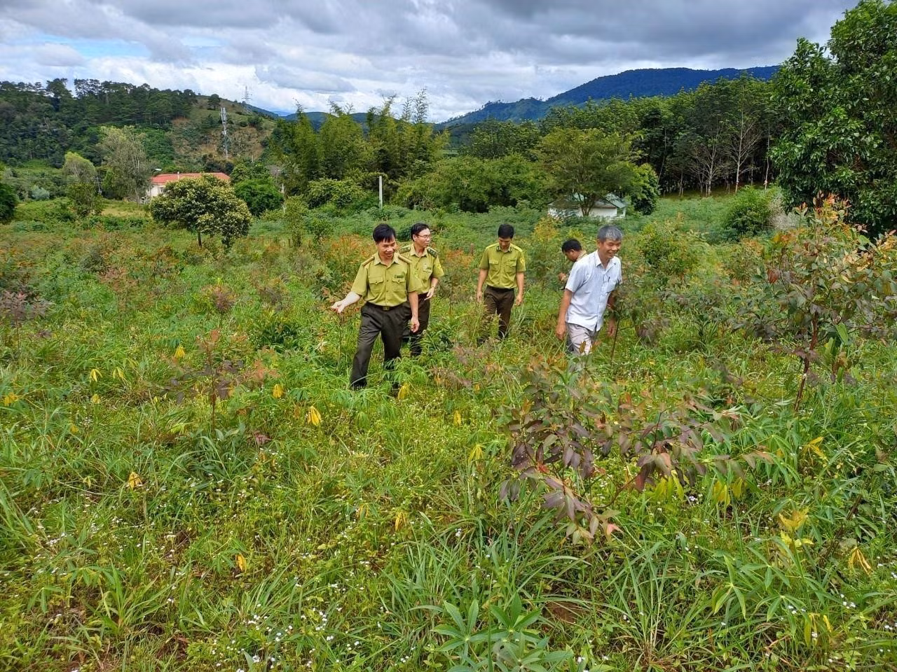 Kon Tum: Bảo vệ và tận dụng phát triển sinh kế từ rừng
