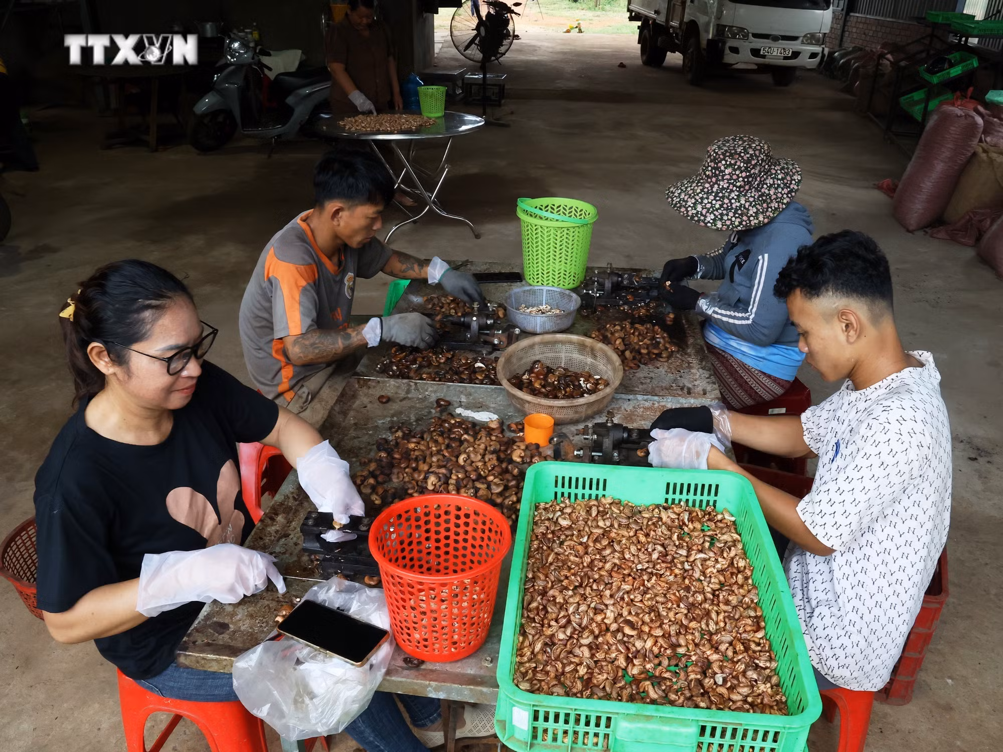 vna_potal_nguoi_phu_nu_dan_toc_thieu_so_tam_huyet_voi_nong_nghiep_sach_7637993.jpg