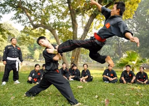 Cú đá bay vừa đẹp mắt vừa hiệu quả của võ Bình Định. Ảnh: toquoc.vn