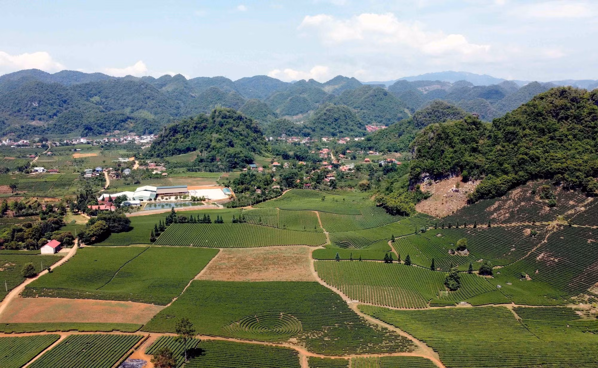 Những nông dân vùng cao giỏi làm giàu