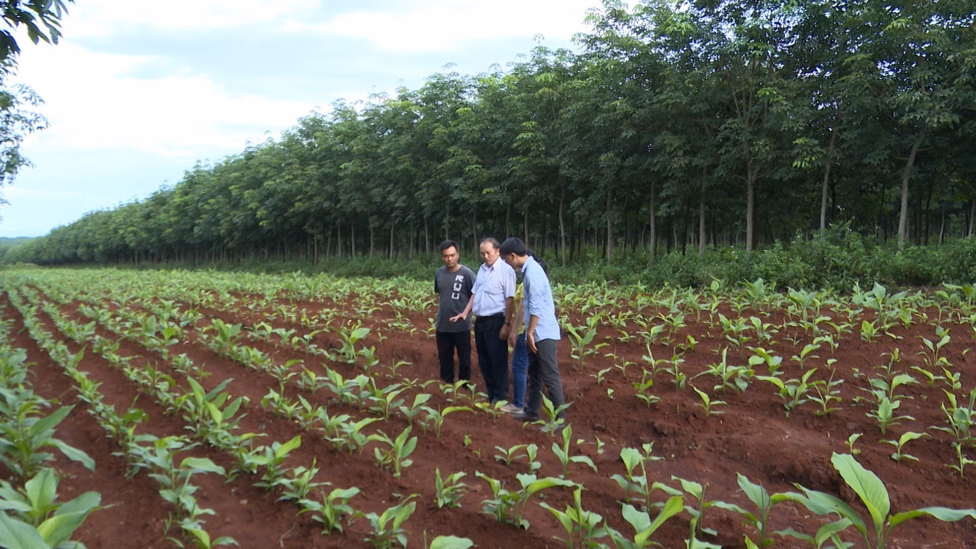 Thay đổi tư duy sản xuất ở vùng đồng bào dân tộc thiểu số tỉnh Gia Lai