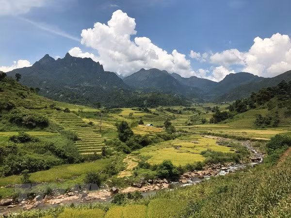 Những thửa ruộng bậc thang ở Bát Xát. Ảnh: Hồng Ninh-TTXVN