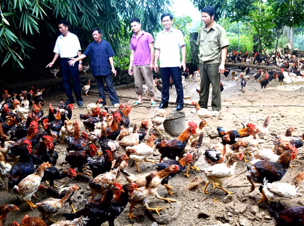 Hà Giang chú trọng đào tạo nghề, giải quyết việc làm để giảm nghèo bền vững