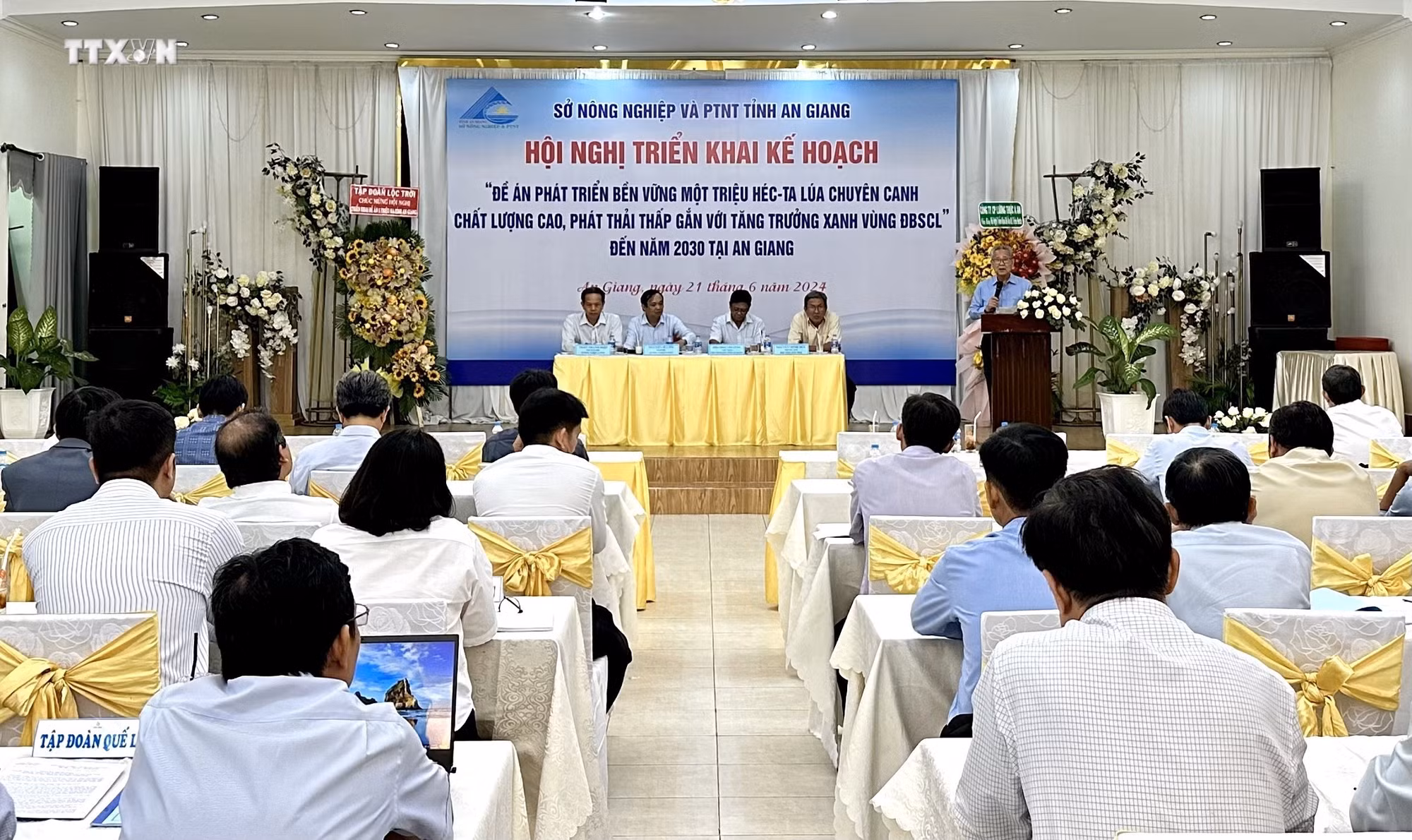 vna_potal_an_giang_trien_khai_de_an_1_trieu_hec_ta_chuyen_canh_lua_chat_luong_cao_7442175.jpeg