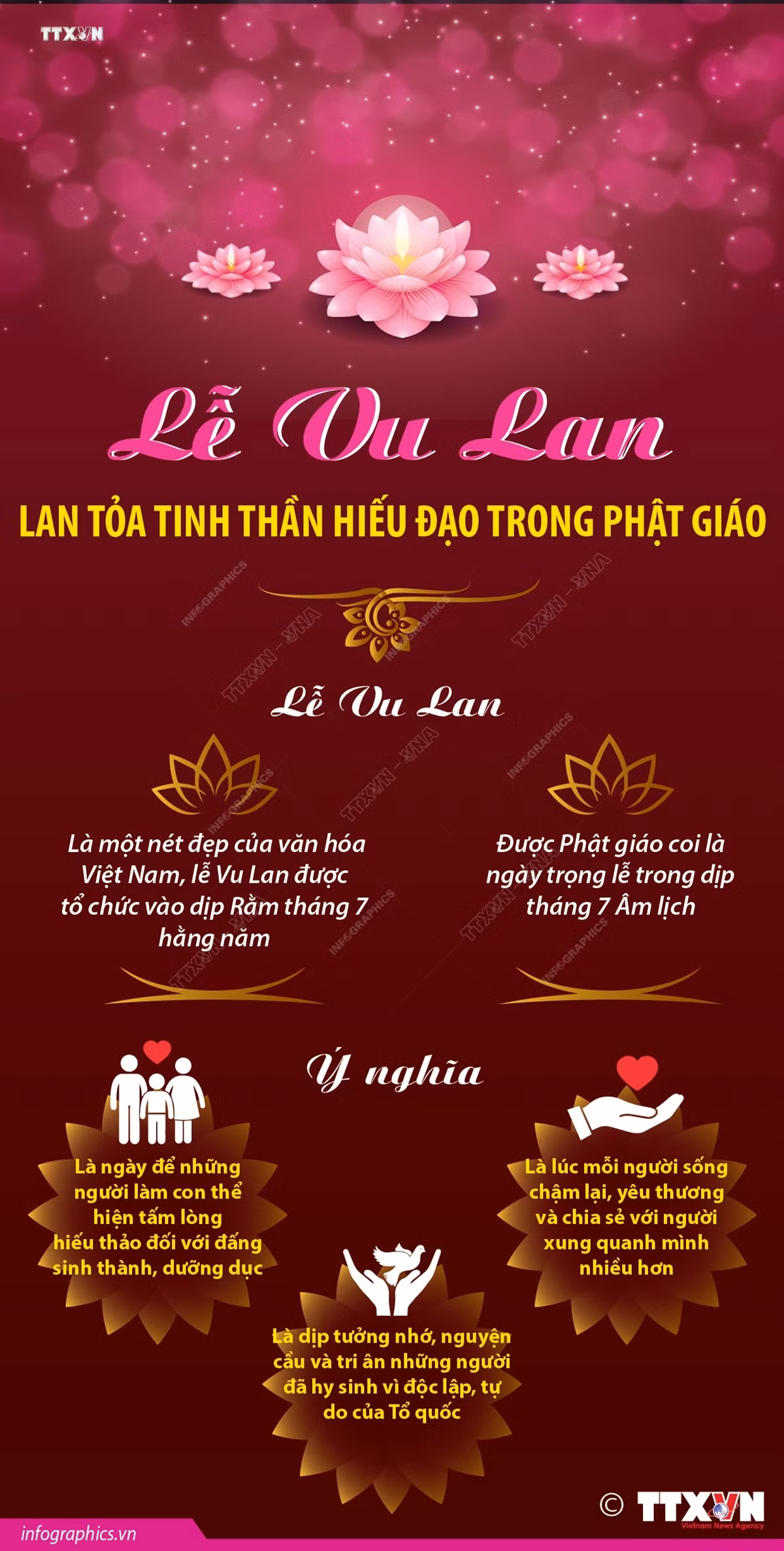 vna_potal_le_vu_lan_lan_toa_tinh_than_hieu_dao_trong_phat_giao_131942466_7542473.jpeg