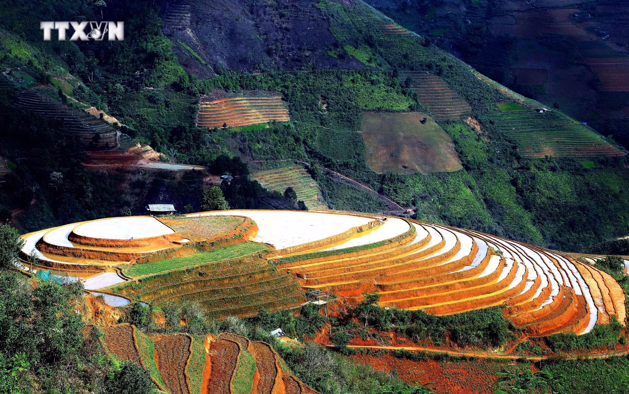 vna_potal_son_la_ruong_bac_thang_tai_xa_xim_vang_huyen_bac_yen__7397445.jpg
