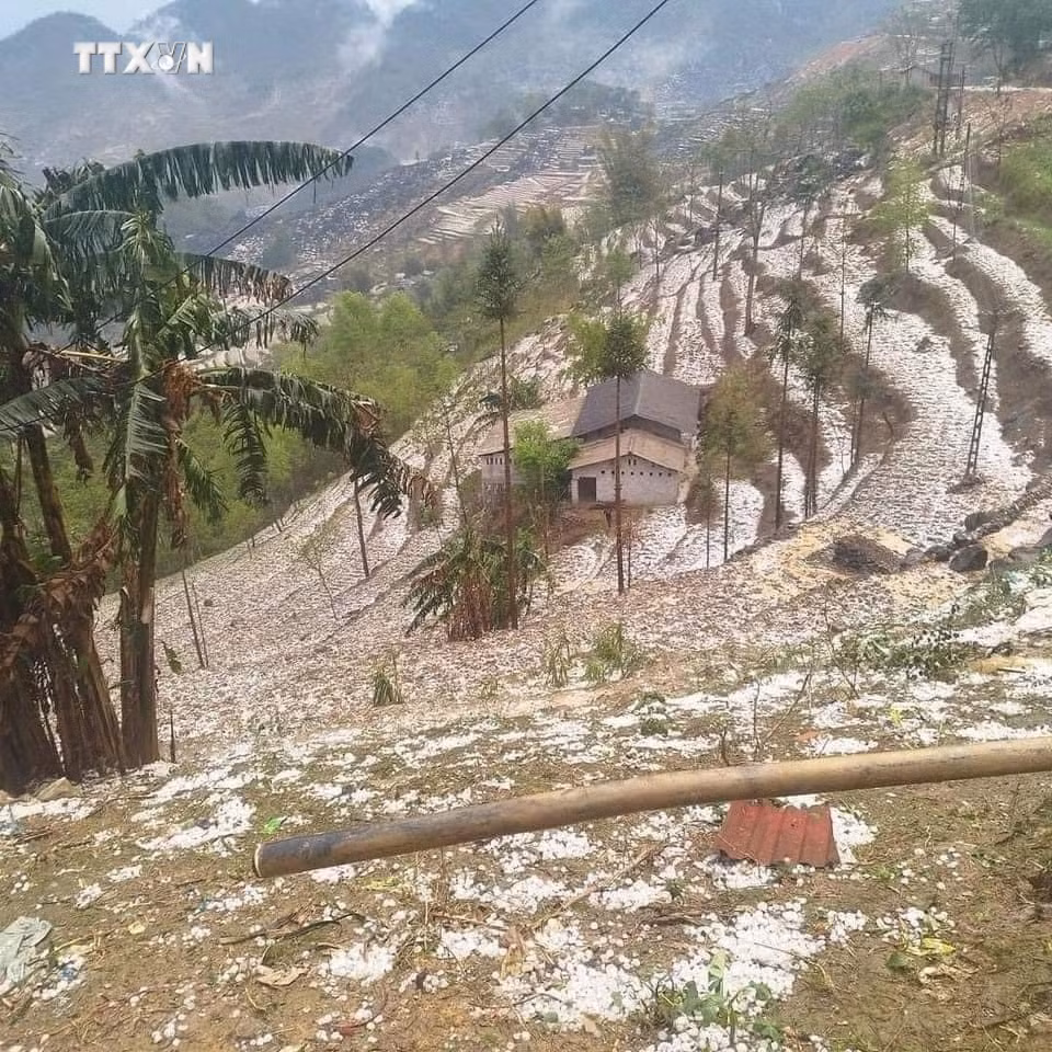 vna_potal_mua_da_dien_rong_o_cac_huyen_vung_cao_ha_giang_7295691.jpg