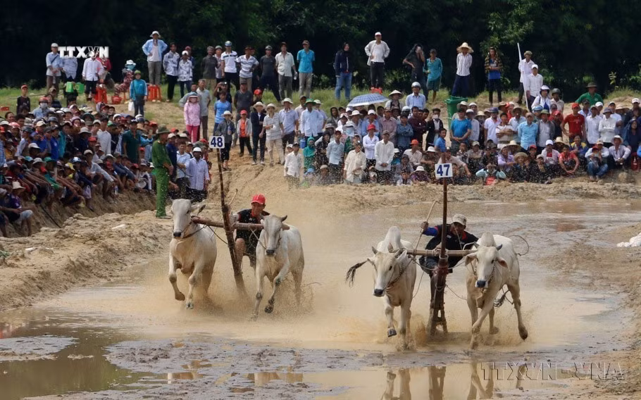 vna_potal_ngay_di_san_van_hoa_viet_nam_2311_gop_phan_to_tham_hinh_anh_viet_nam_voi_the_gioi_7087873.jpg