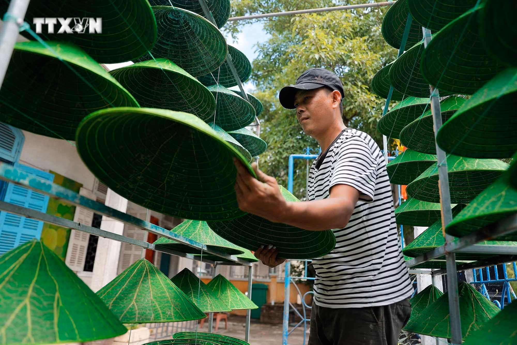 vna_potal_du_lich_viet_nam_non_la_sen_san_pham_doc_dao_xu_hue_7540375.jpg