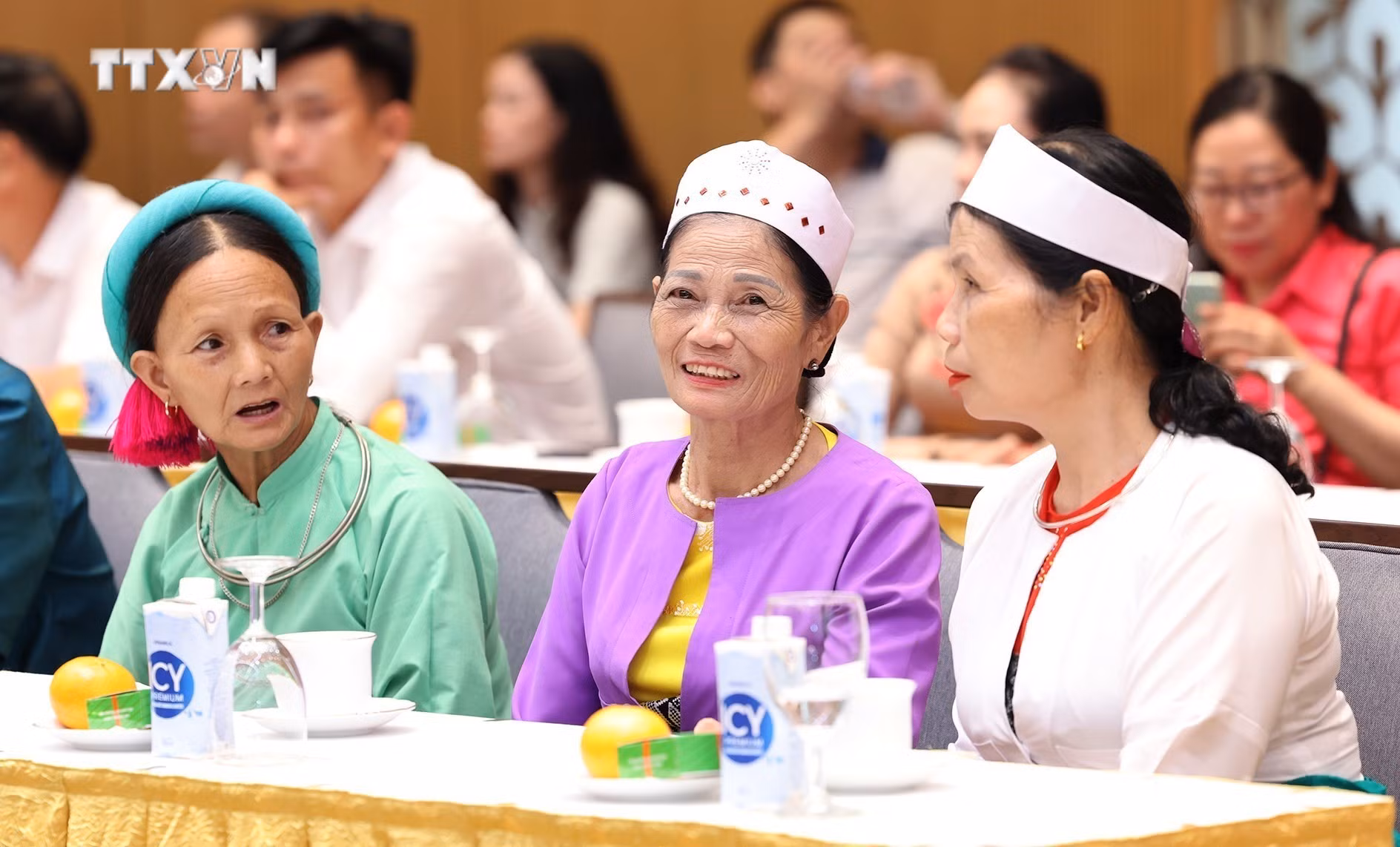 vna_potal_thu_tuong_gap_mat_gia_lang_truong_ban_nghe_nhan_va_nguoi_co_uy_tin_tieu_bieu_7330928.jpg