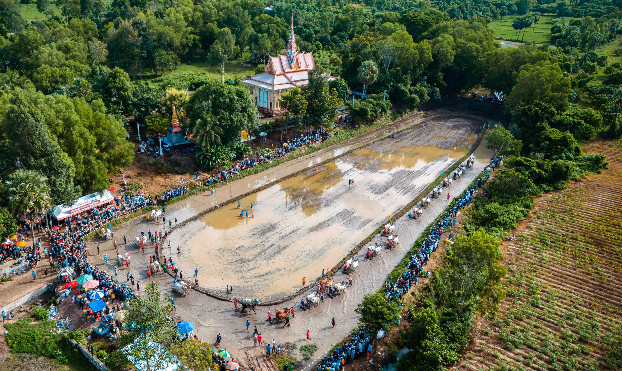 hoi dua bo chua ro 10.jpg