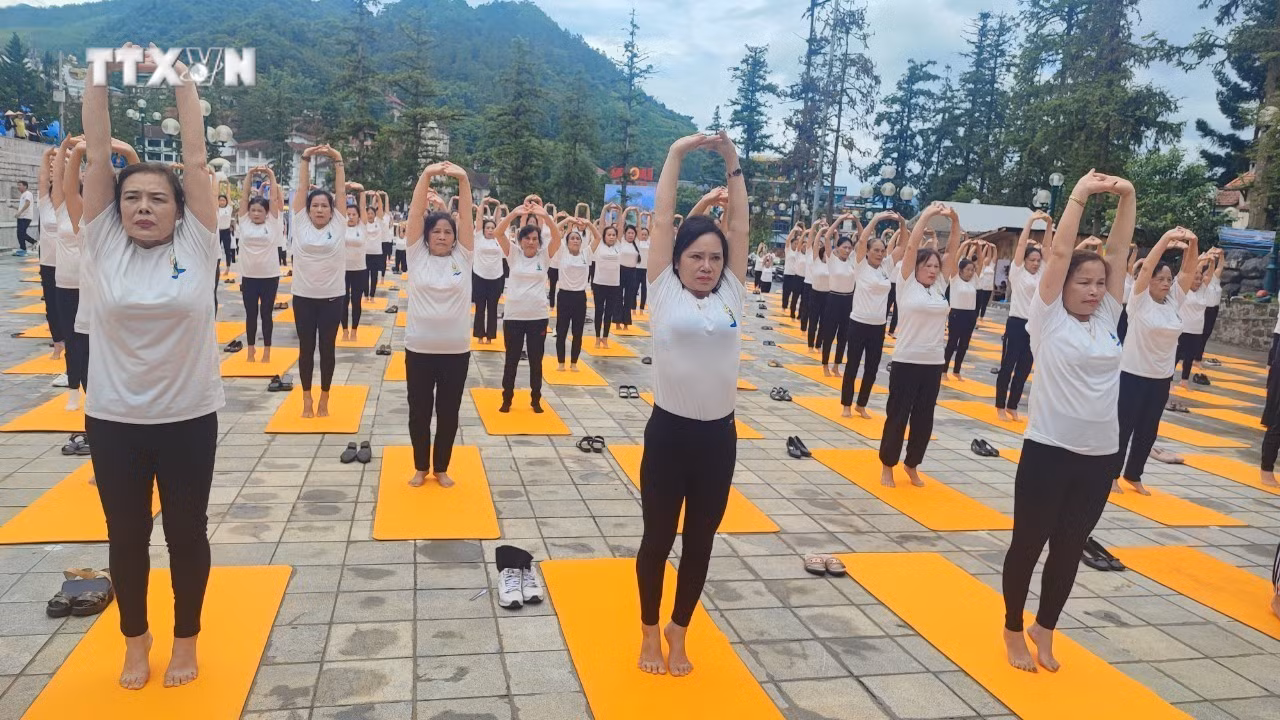 vna_potal_500_nguoi_dong_dien_nhan_ngay_quoc_te_yoga_lan_thu_10_tai_sa_pa_lao_cai_7443594.jpg