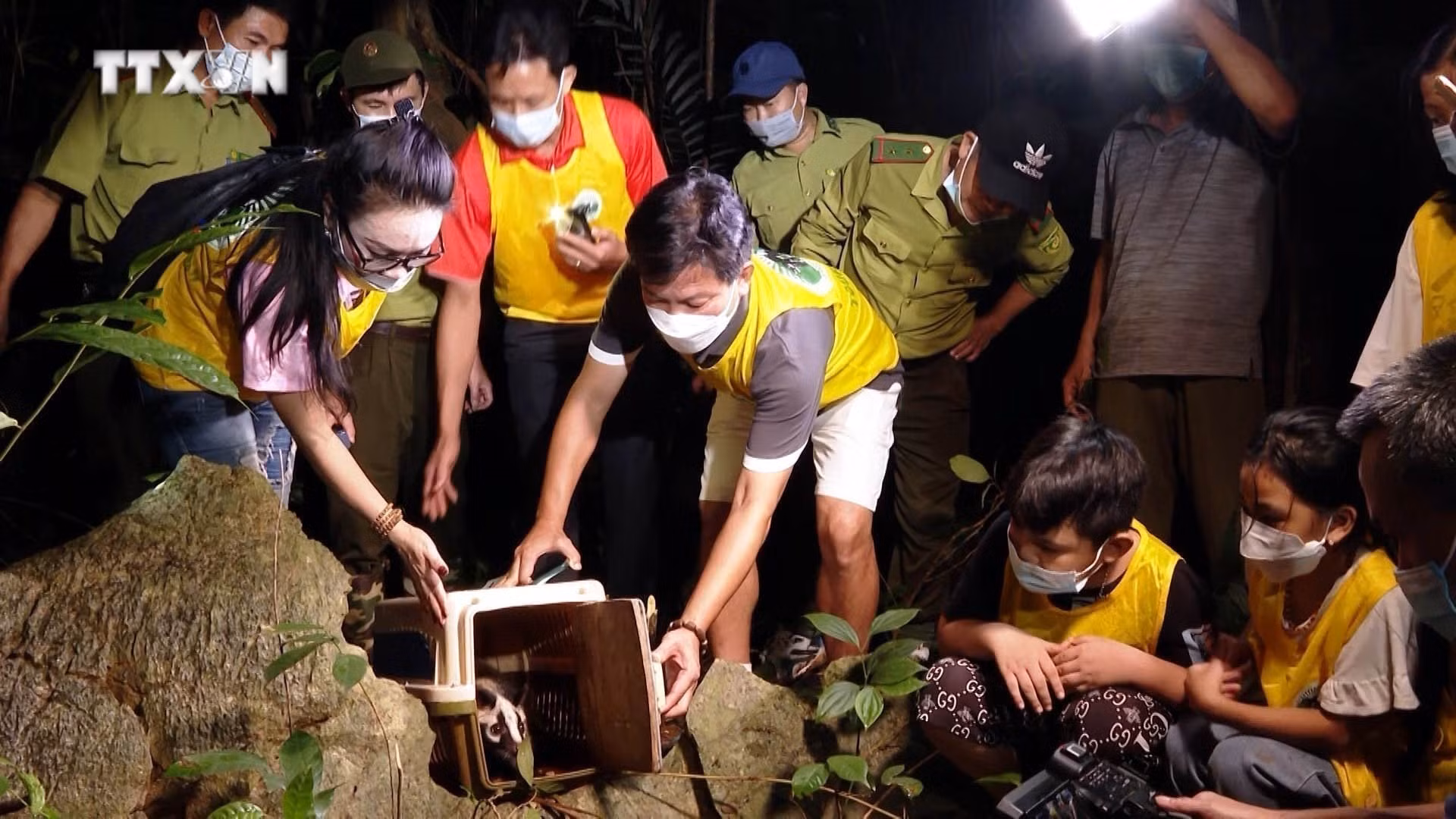 vna_potal_cuc_phuong_duoc_vinh_danh_la_vuon_quoc_gia_hang_dau_chau_a_nam_2024_7571521.jpg