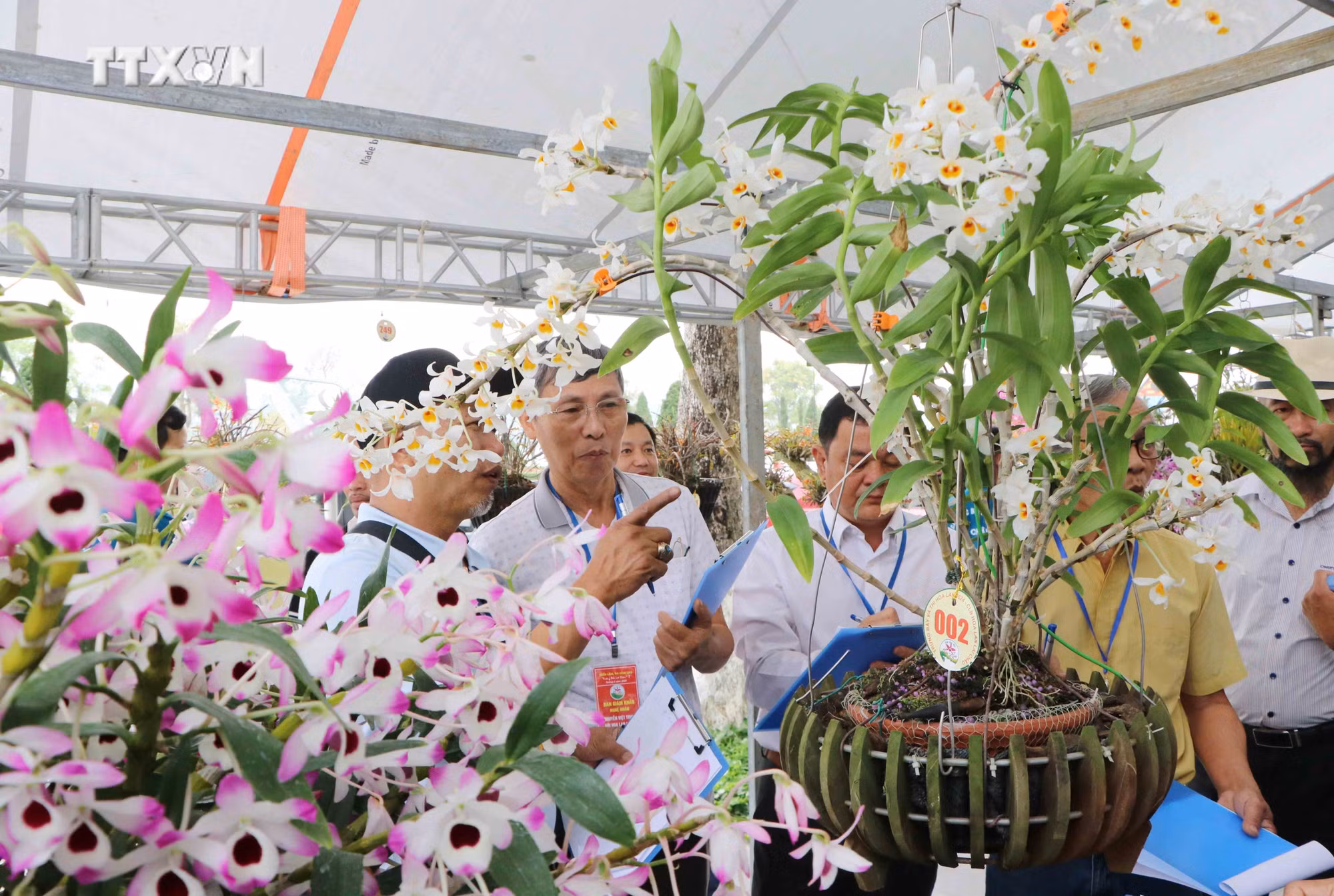 vna_potal_ve_lai_chau_ngam_lan_rung_khoe_sac_7311170.jpg