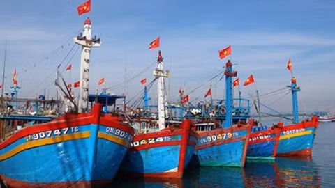 Ngư dân Bình Định gặp khó vì bảo hiểm tàu cá