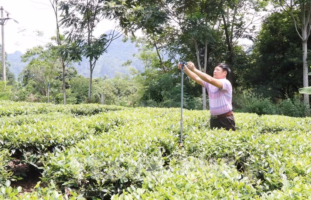 Cán bộ xã Bình Long hướng dẫn lắp đặt hệ thống van xoay tưới chè cho bà con xã Bình Long, huyện Võ Nhai. Ảnh: Hoàng Nguyên - TTXVN