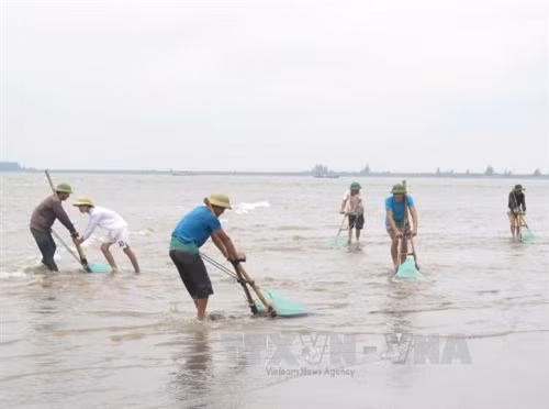 Triệu tập đối tượng tung tin thất thiệt cá chết ở biển Cồn Vành