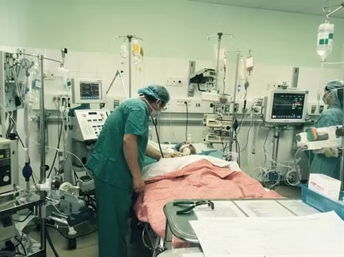 Thêm một ca ghép tim phổi đặc biệt tại Bệnh viện Trung ương Huế