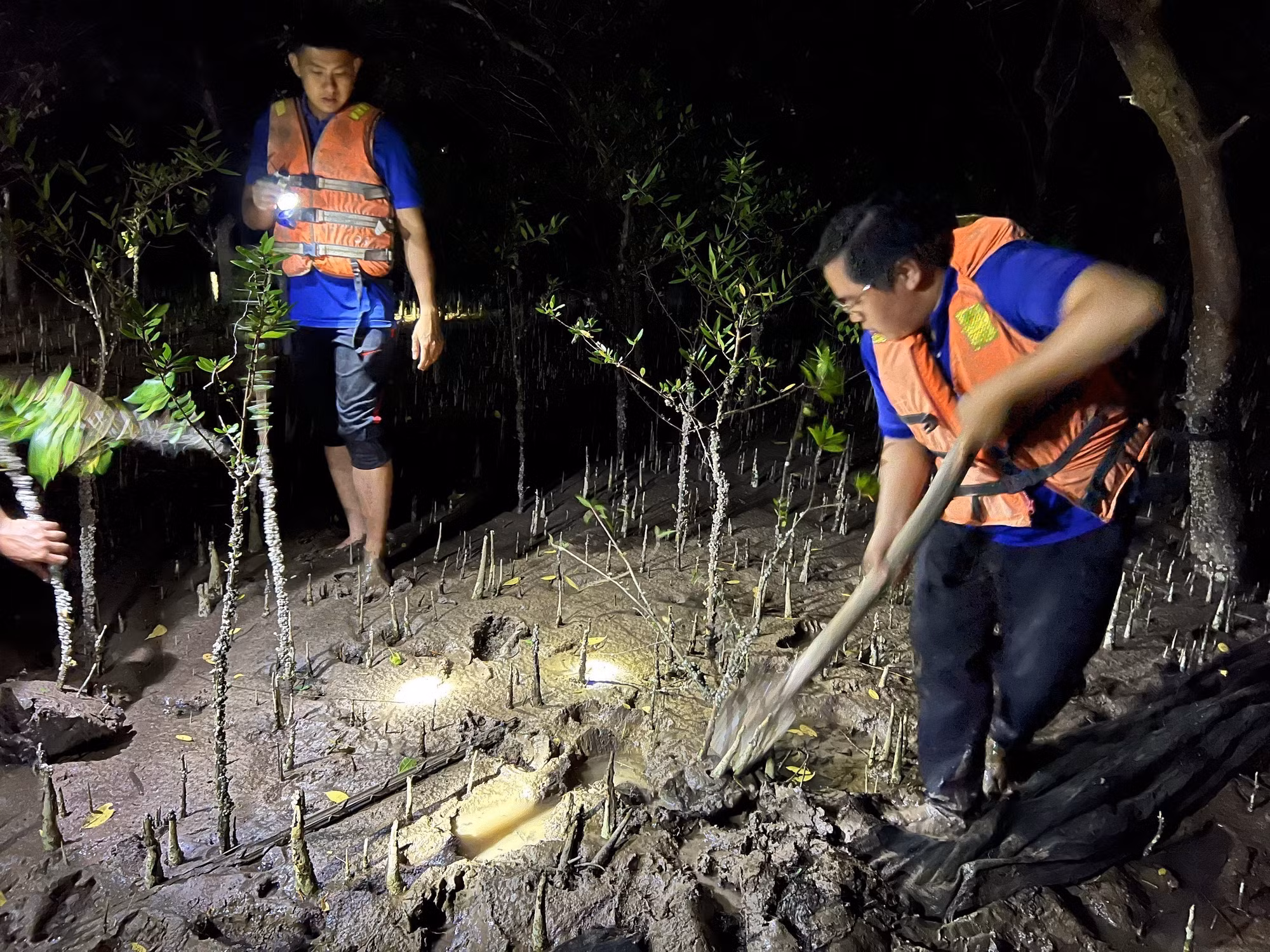 Tranh thủ thủy triều rút, thanh niên Bến Tre triển khai công trình “Rừng phòng hộ do thanh niên quản lý” trong đêm. Ảnh: TTXVN phát