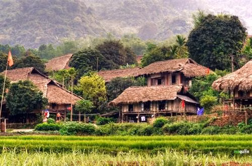 Nhà sàn truyền thống của người Mường. Nguồn: baophutho.vn