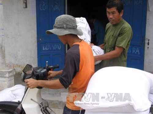 Hỗ trợ tỉnh Thanh Hóa hơn 50 nghìn tấn gạo
