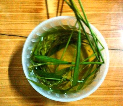 Tết ăn cơm mới của người Tày, Nùng ở Cao Bằng