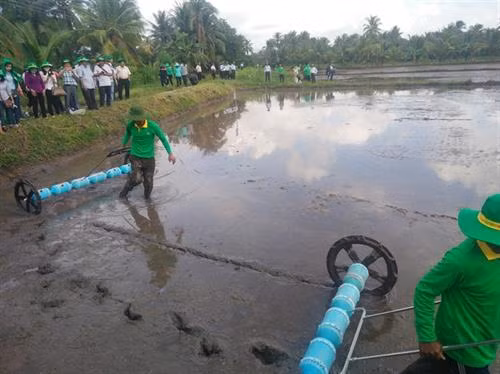 Lợi ích của sạ thưa ở ấp Tân Thuận
