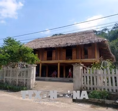 Làm nhà sàn bê tông góp phần bảo vệ rừng ở Sơn Dương