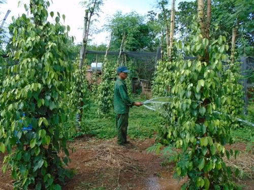 Ý Đảng gặp lòng dân mang đến sức sống mới nơi biên cương tiểu khu 67