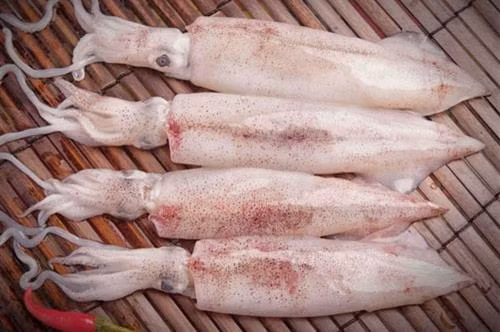 Mẹo chọn mực tươi ngon như dân biển