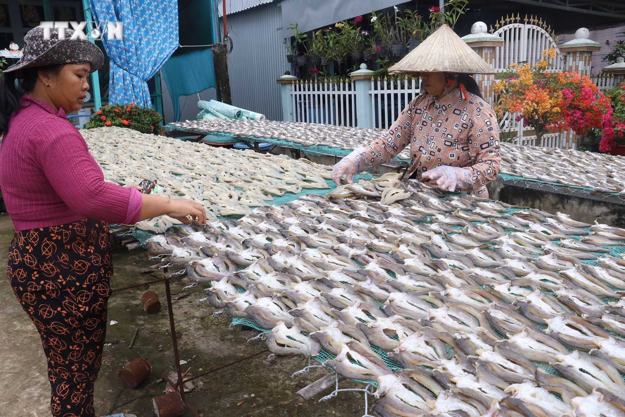 vna_potal_nhon_nhip_lang_nghe_lam_kho_ca_loc_phuc_vu_tet_o_phu_tho_dong_thap_7760403.jpg