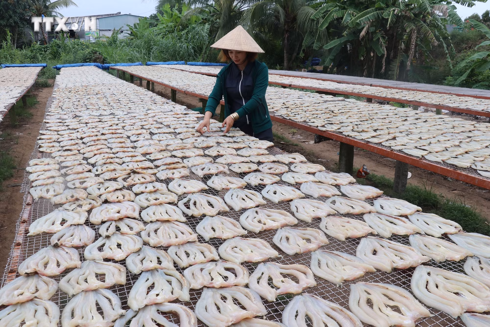 vna_potal_nhon_nhip_lang_nghe_lam_kho_ca_loc_phuc_vu_tet_o_phu_tho_dong_thap_7760407.jpg
