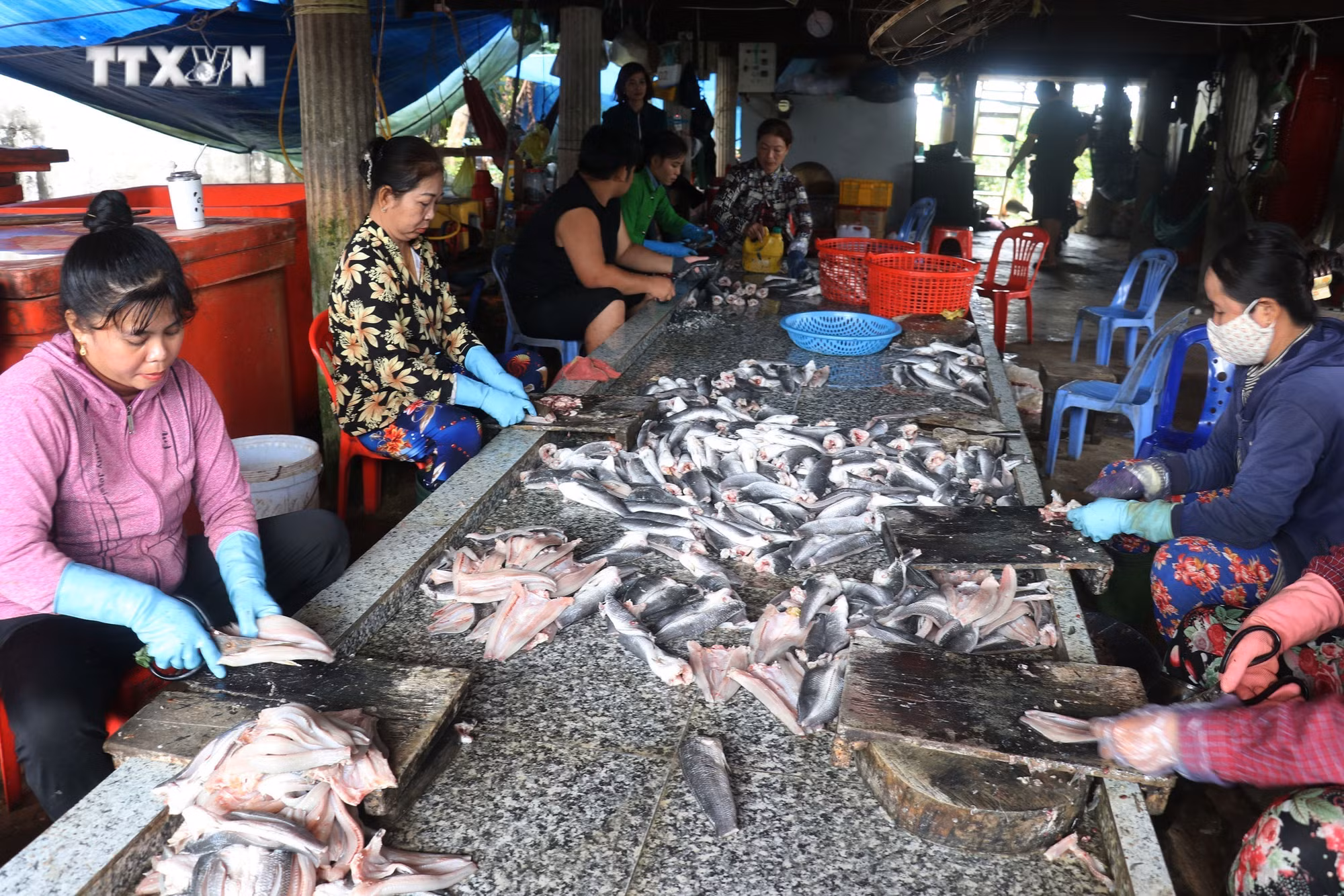 vna_potal_nhon_nhip_lang_nghe_lam_kho_ca_loc_phuc_vu_tet_o_phu_tho_dong_thap_7760400.jpg