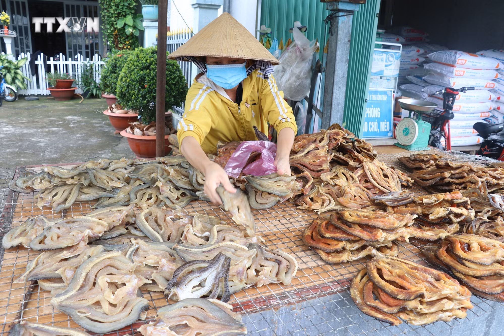 vna_potal_nhon_nhip_lang_nghe_lam_kho_ca_loc_phuc_vu_tet_o_phu_tho_dong_thap_7760394.jpg
