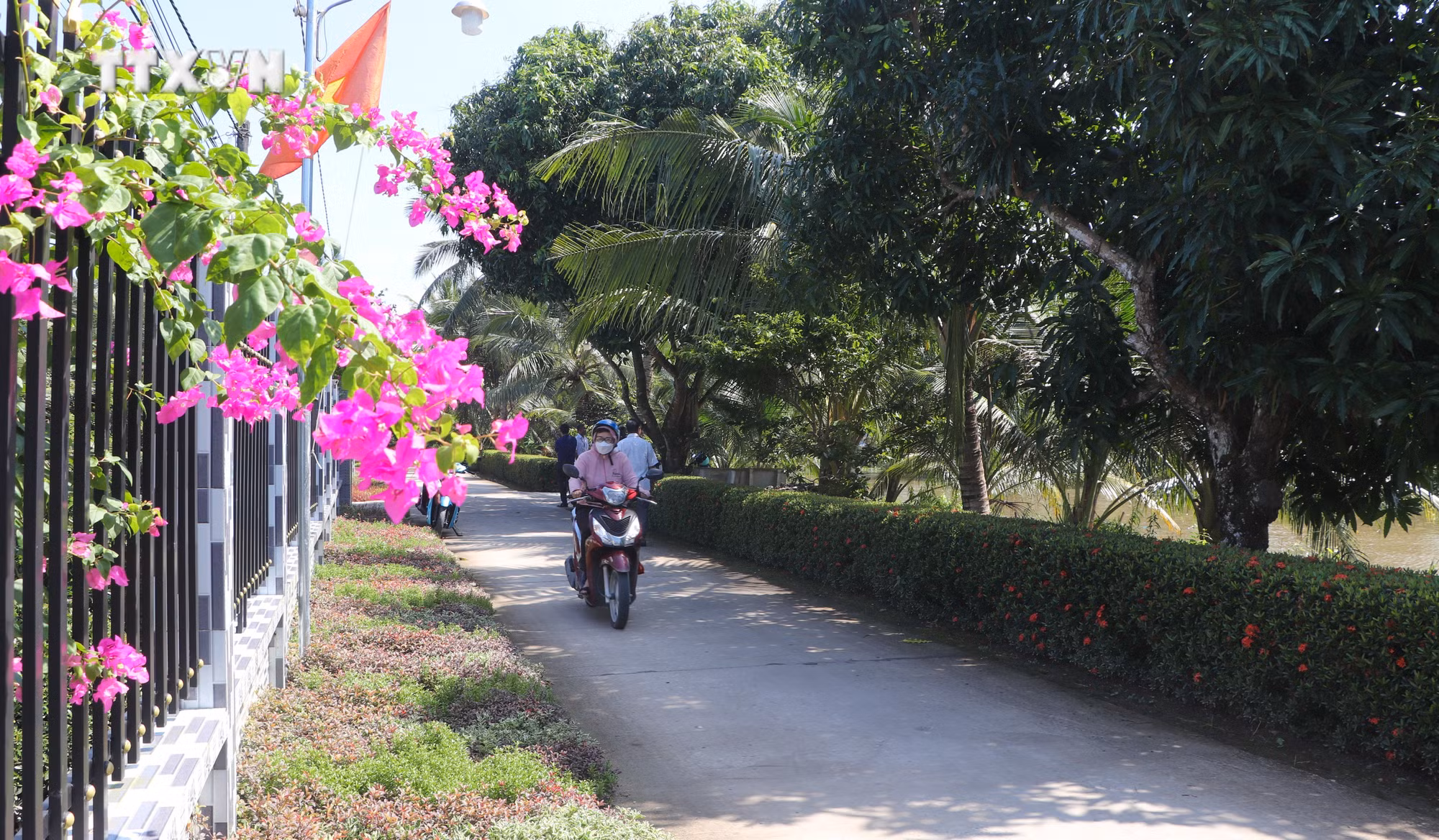 vna_potal_phat_huy_hieu_qua_tu_phong_trao_dan_van_kheo_7737804.jpg