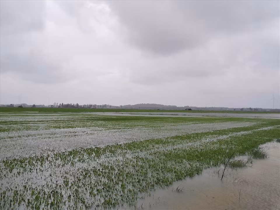 Quảng Bình khẩn trương khắc phục hậu quả do mưa to trái mùa