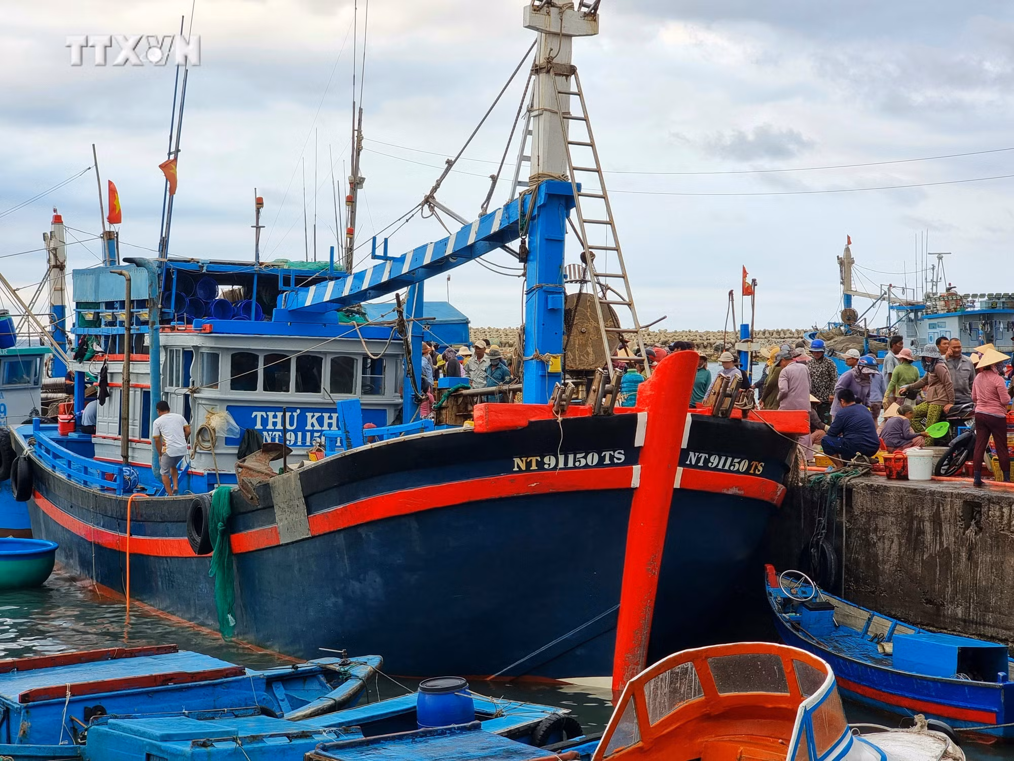 vna_potal_ninh_thuan_ngu_dan_day_manh_vuon_khoi_khai_thac_hai_san_vu_ca_nam_7305907.jpg